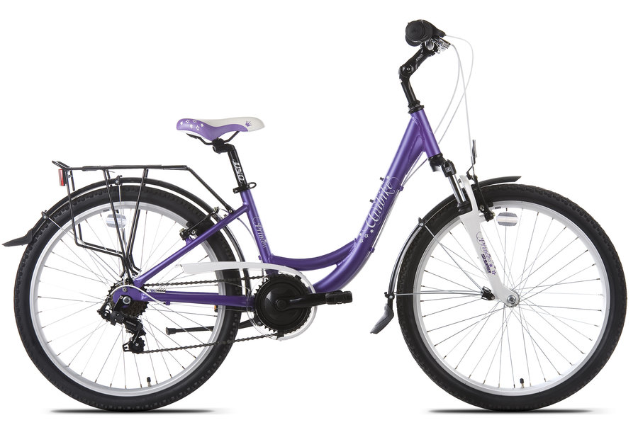 Dviratis Unibike Princess 6