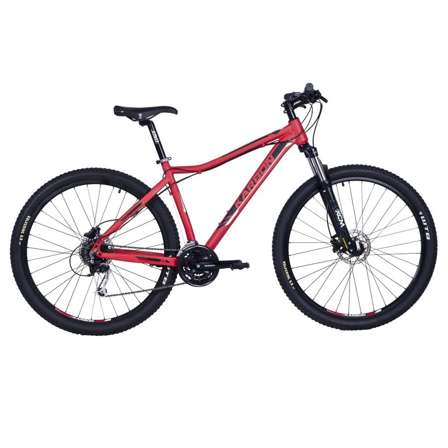 Dviratis Karbon Trail B4 29"