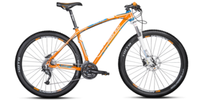 Dviratis Karbon Spike B30 29"