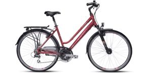 Dviratis Karbon Voyager LDS 28"