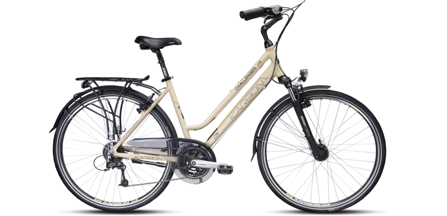 Dviratis Karbon Challenger LDS 28"