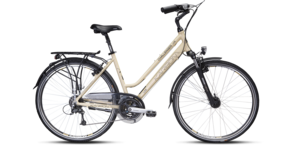 Dviratis Karbon Challenger LDS 28"