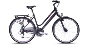 Dviratis Karbon Challenger LDS 28"