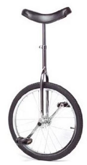 Dviratis Raleigh Unicycle Chrome 20