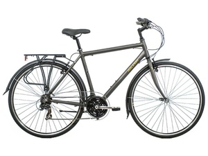 Dviratis Raleigh Pioneer 1