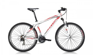Dviratis Ferrini R1 27.5"