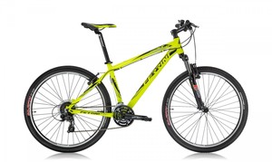 Dviratis Ferrini R2 27.5"