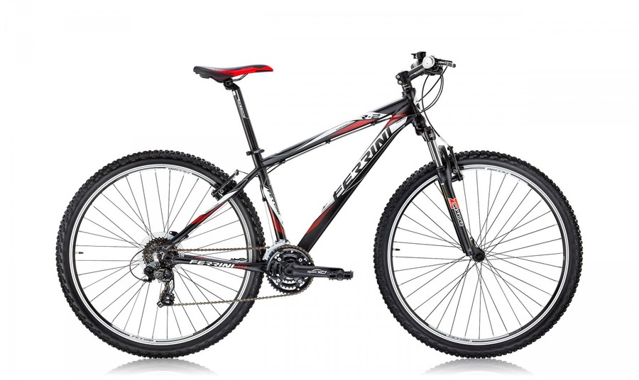 Dviratis Ferrini R2 29"