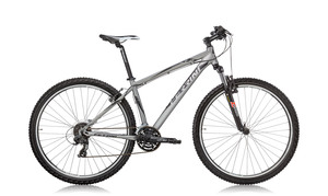 Dviratis Ferrini R2 29"