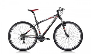 Dviratis Ferrini R2 29"