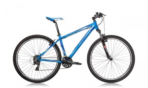 Dviratis Ferrini R2 29"