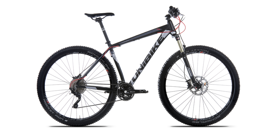 Dviratis Unibike Expert 29
