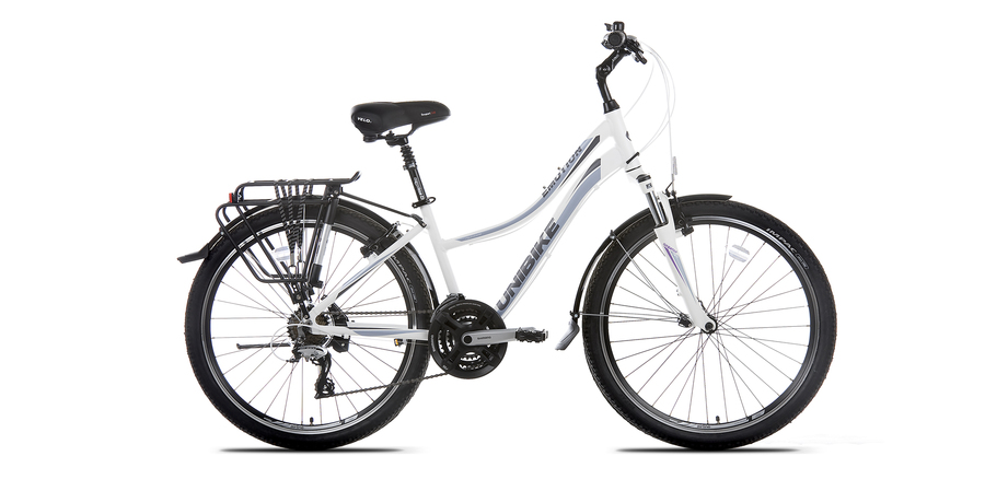 Dviratis Unibike Emotion EQ 26