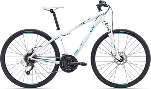 Dviratis Giant ROVE 2 DISC DD