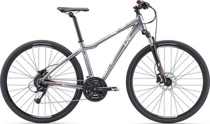 Dviratis Giant ROVE 2 DISC DD