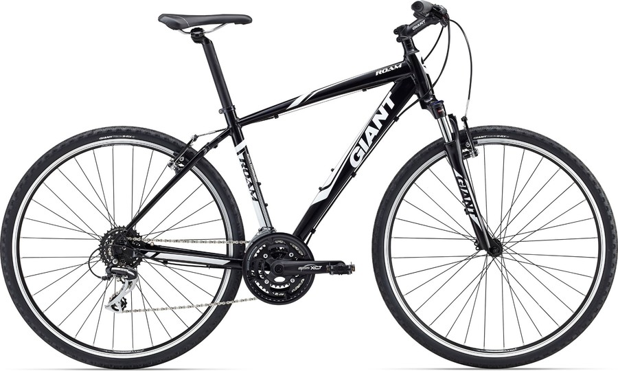 Dviratis Giant ROAM 3