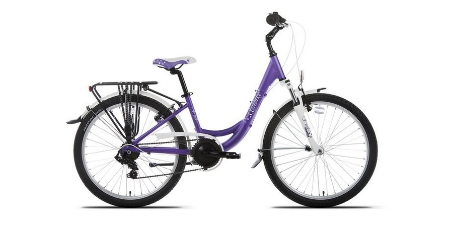 Dviratis Unibike Princess 6 24