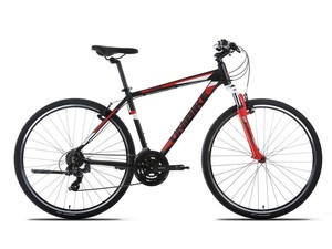 Dviratis Unibike Prime GTS
