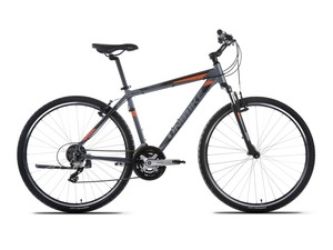 Dviratis Unibike Flash GTS