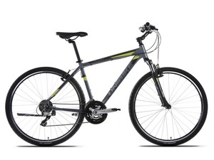 Dviratis Unibike Flash GTS