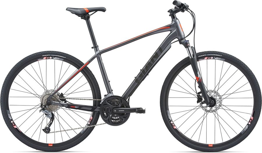 Dviratis Giant Roam 2 Disc