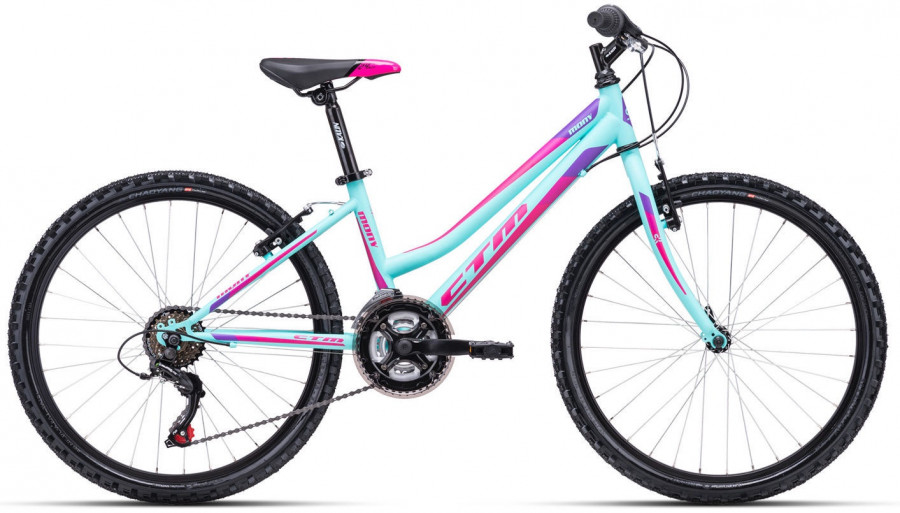 Dviratis CTM Mony 24"