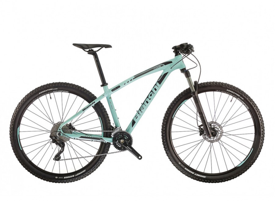 Dviratis Bianchi Kuma 29.0 XT