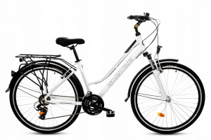 Dviratis Goetze Tour 28" Alu