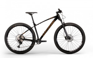 Dviratis Dviratis Corratec MTB 29" X Vert Pro Team