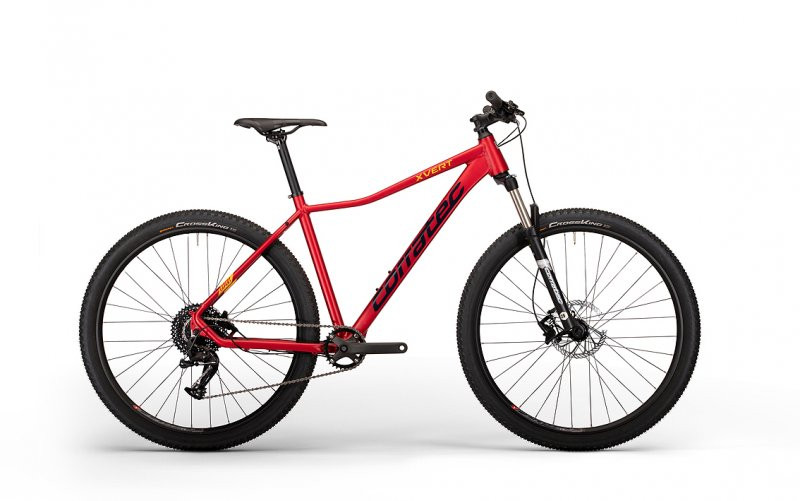 Dviratis MTB X Vert Expert 29"