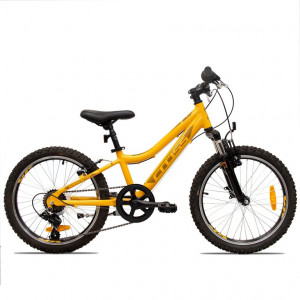 Dviratis CROSS Speedster 20"