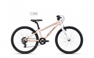 Dviratis CTM Rocky SL 24"
