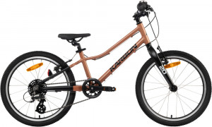 Dviratis Karbon Superlight 20 copper